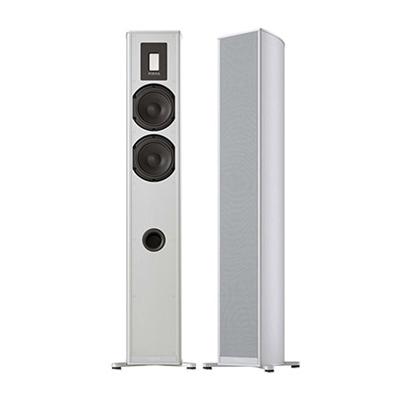 Loa Piega Premium Wireless 701