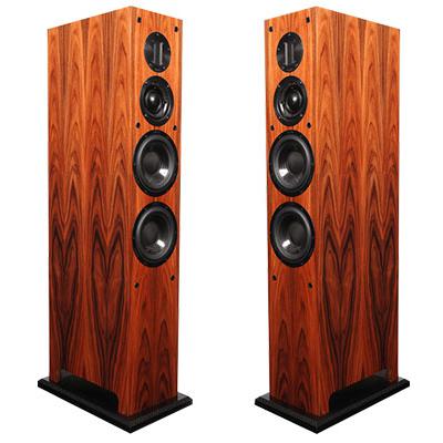 Loa ProAc Carbon Pro 6