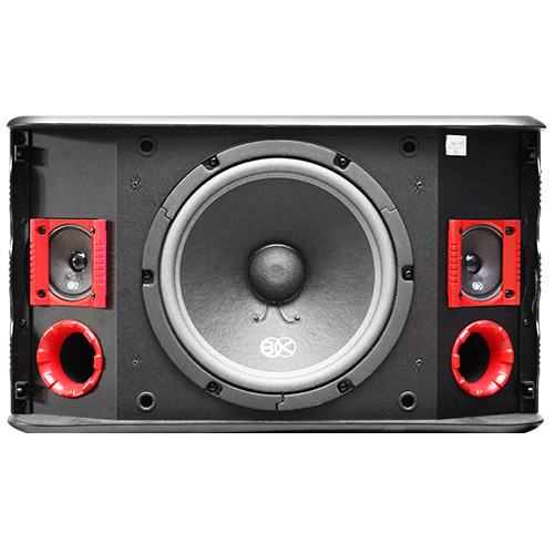 Loa karaoke Nhật BIK BJ S768