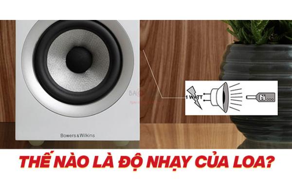 Cách nhận biết độ nhạy của loa như thế nào? Bảo Châu Elec