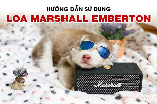 Hướng dẫn sử dụng Loa di động Marshall Emberton chi tiết 