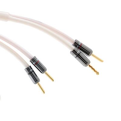 Dây loa Atlas Equator 2.0 (2m)