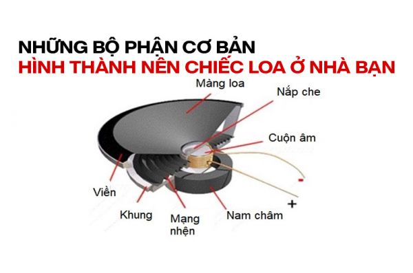 Những bộ phận cơ bản hình thành nên chiếc loa tốt