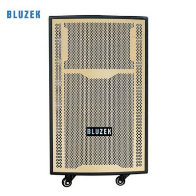 Loa kéo Bluzek BZ12EG