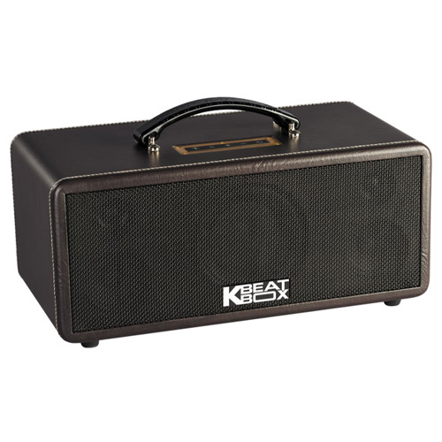 Loa Xách Tay Acnos KS361S