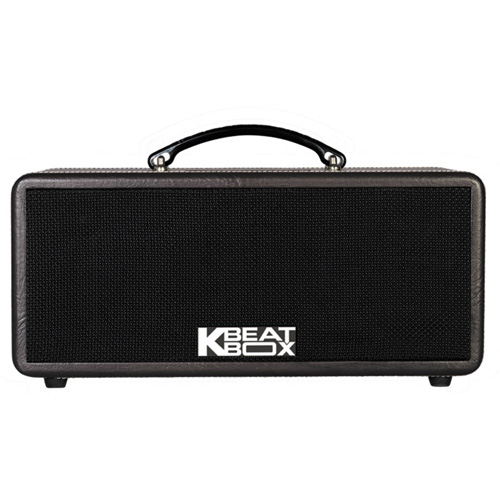 Loa Xách Tay Acnos KS361S