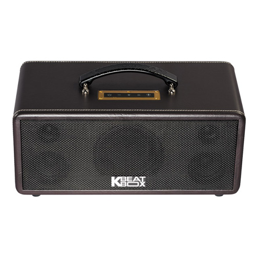 Loa Xách Tay Acnos KS361S