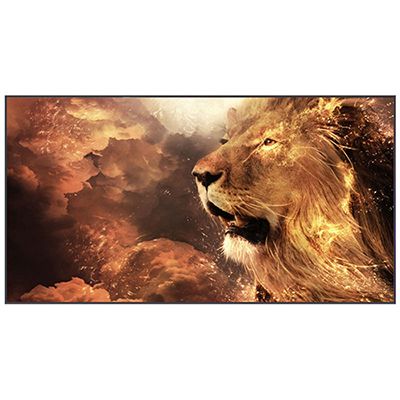 Màn chiếu quang học Grandview PE-L110 (16:9)