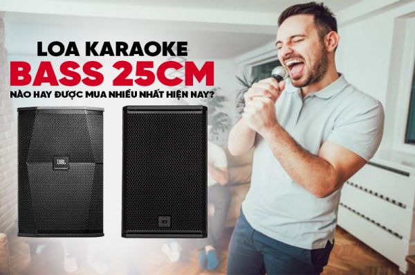 Loa karaoke bass 25cm được chọn mua nhiều tại Bảo Châu Elec
