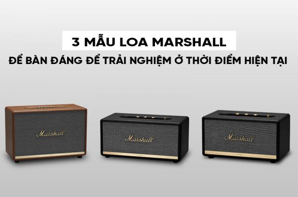 3 mẫu loa Marshall để bàn đáng để trải nghiệm ở thời điểm hiện tại