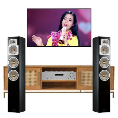 Dàn nghe nhạc 2 kênh Stereo NN59 (Yamaha NS F350 + Cambridge Audio AXR100)