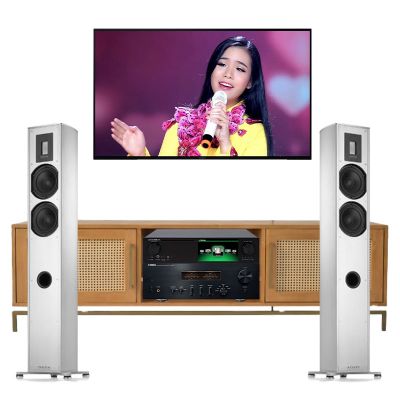 Dàn nghe nhạc cao cấp NN60 (Cocktail X45+ Yamaha A S1200 + Piega Premium 701)