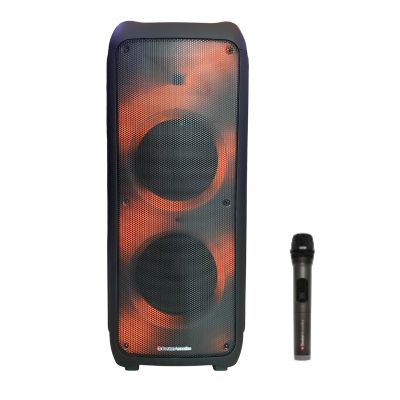 Loa Boston Acoustics Partybox BA-1002PB