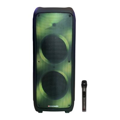 Loa Boston Acoustics Partybox BA-1202PB 