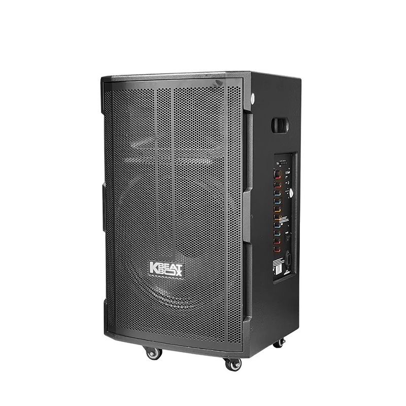 Loa kéo ACNOS CB39D