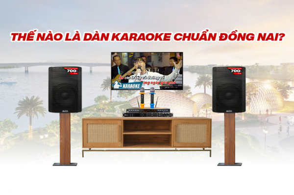 Thế Nào Là Dàn Karaoke Chuẩn Đồng Nai? Tiêu Chuẩn Đánh Giá Trước Khi Mua