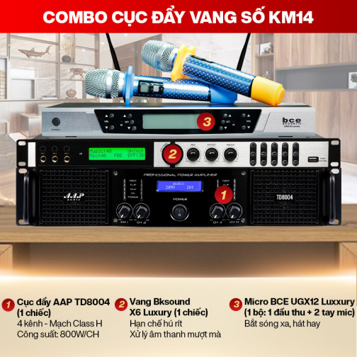 Combo đẩy vang micro KM14 (AAP TD8004 + Bksound X6 Luxury + BCE UGX12 Luxury)
