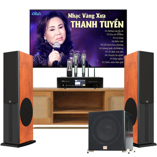 Dàn Nghe nhạc và Hát karaoke Paramax 02