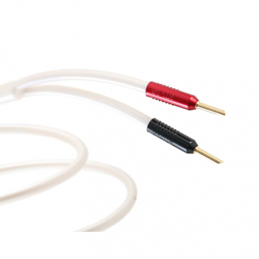 Dây loa Atlas Equator Achromatic speaker Z2.0 (2m) 