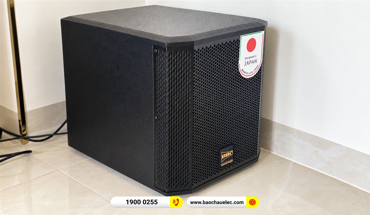 Loa sub điện BIK BBK-W25A nh&igrave;n từ g&oacute;c b&ecirc;n
