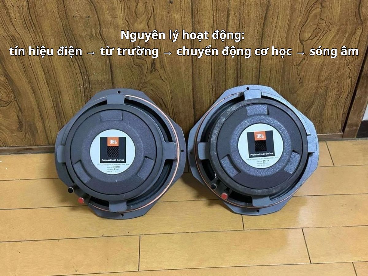 T&igrave;m hiểu củ loa JBL: Cấu tạo, c&ocirc;ng dụng v&agrave; c&aacute;ch hoạt động