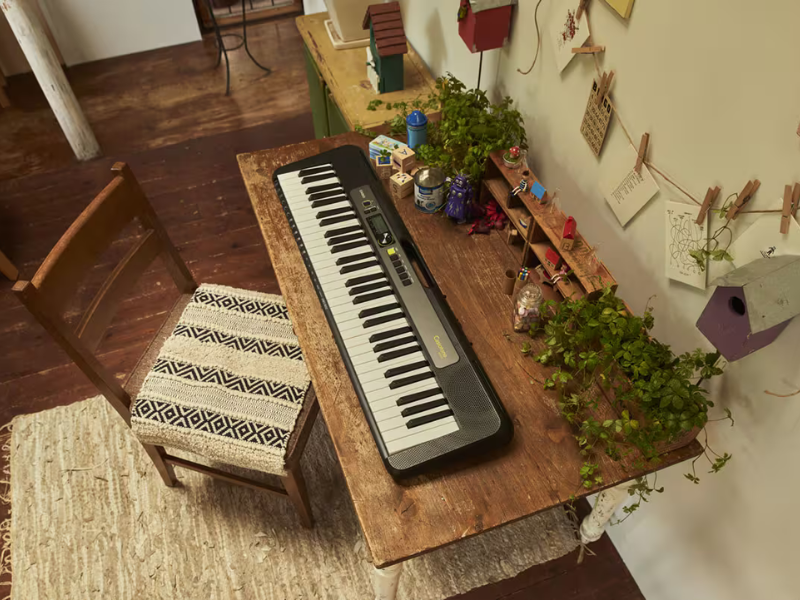 Đ&agrave;n Organ Casio Casiotone LK-S250
