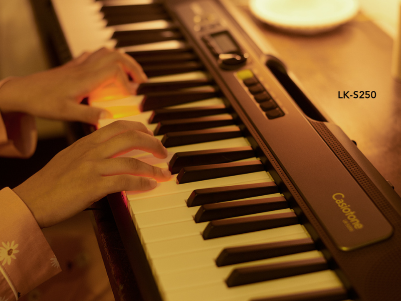 Đ&agrave;n Organ Casio Casiotone LK-S250