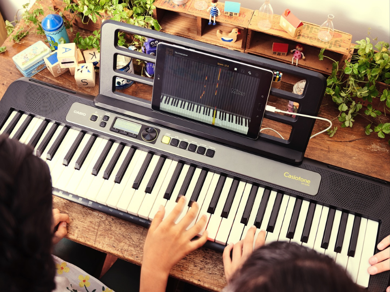 Đ&agrave;n Organ Casio Casiotone LK-S250