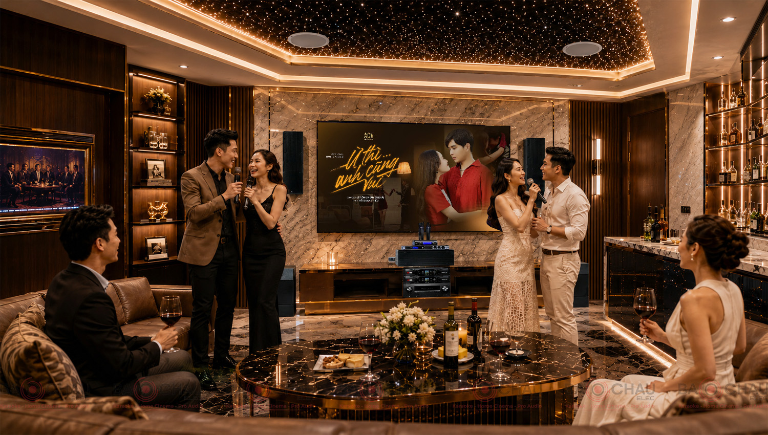 D&agrave;n &acirc;m thanh cao cấp 3 Trong 1 karaoke, nhạc, phim dBTechnologies 03