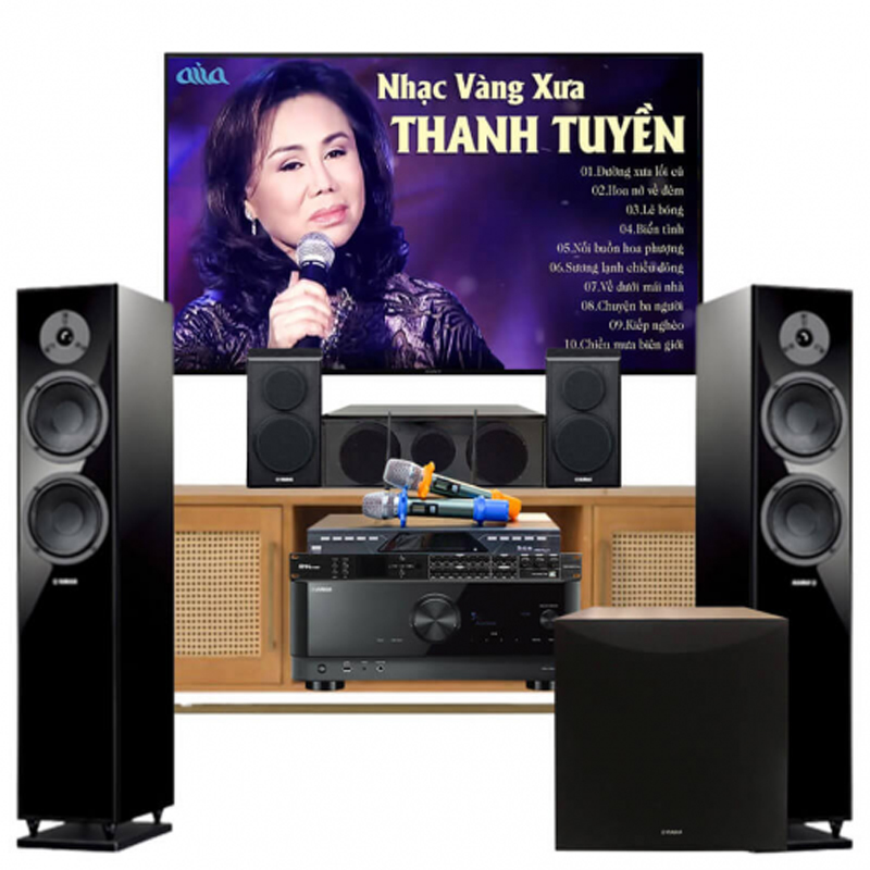 Dàn âm thanh đa chức năng xem phim, nghe nhạc, karaoke 07