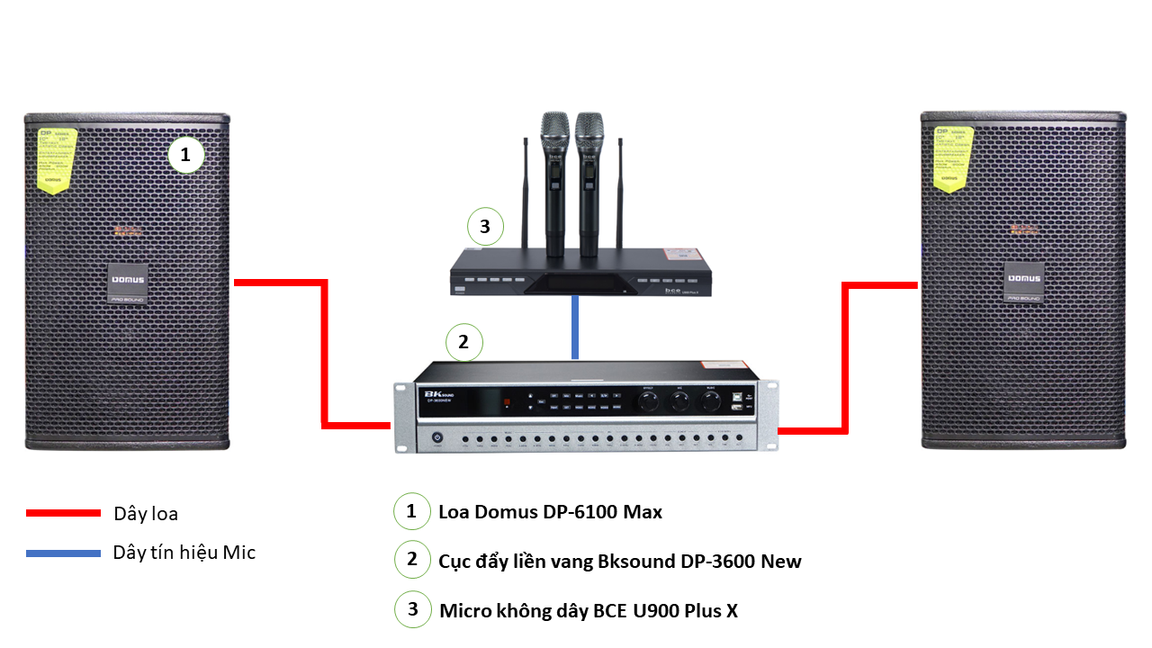 Dàn karaoke 01 (Domus DP6100 MAX + BKSound DP3600 New + BCE U900 Plus X) - Hình 5