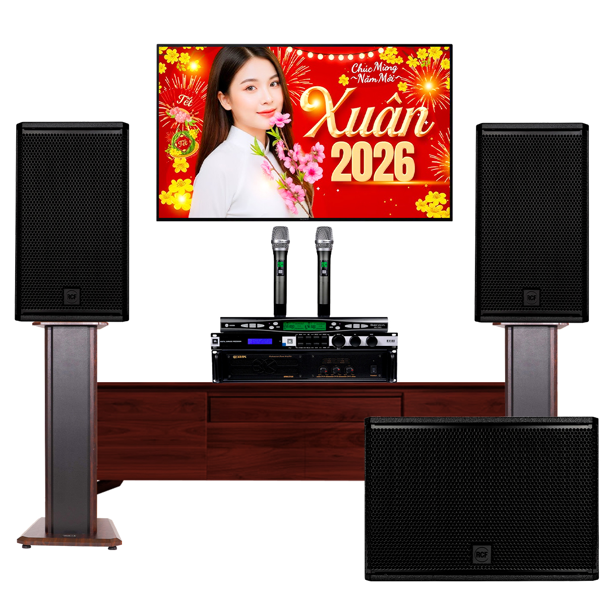 Dàn karaoke cao cấp RCF X-MAX 01