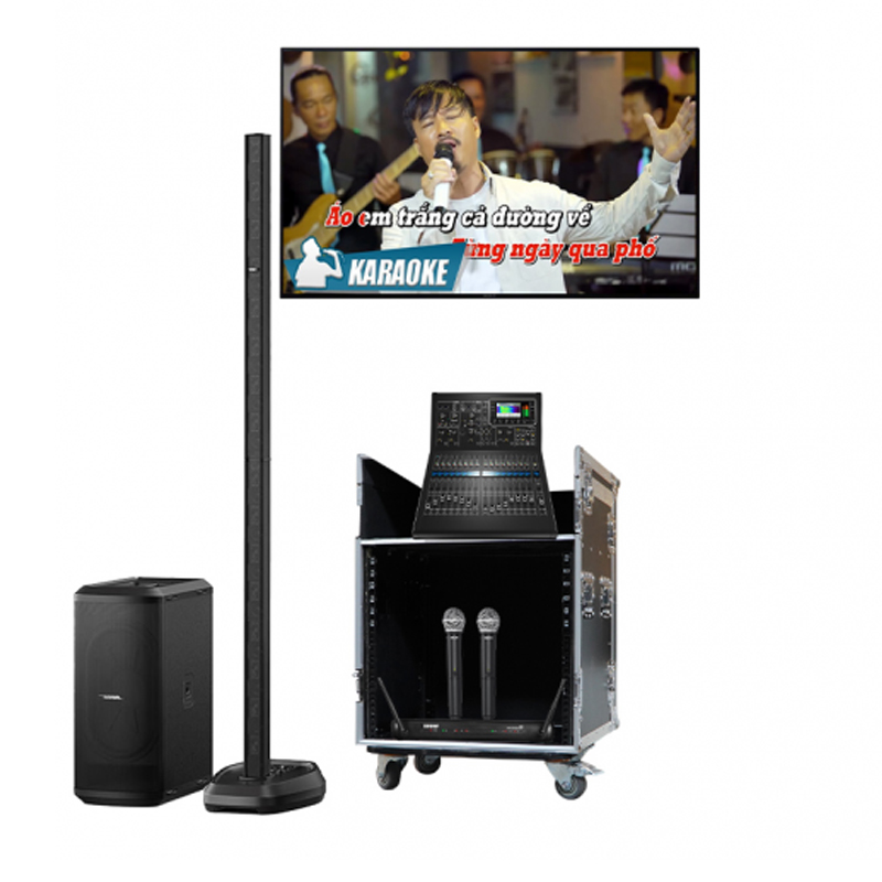 Dàn karaoke di động Bose 11