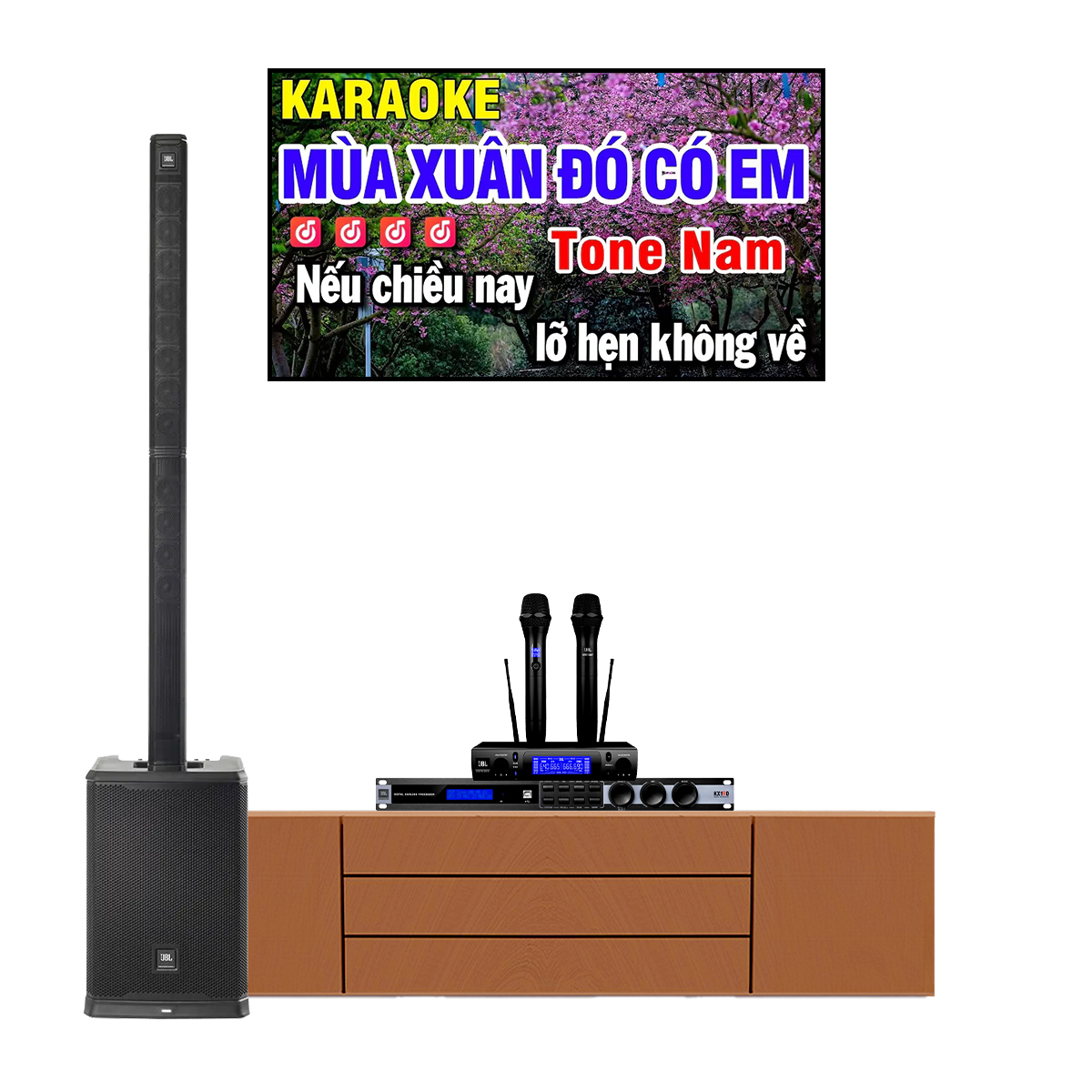 Dàn karaoke di động JBL 11