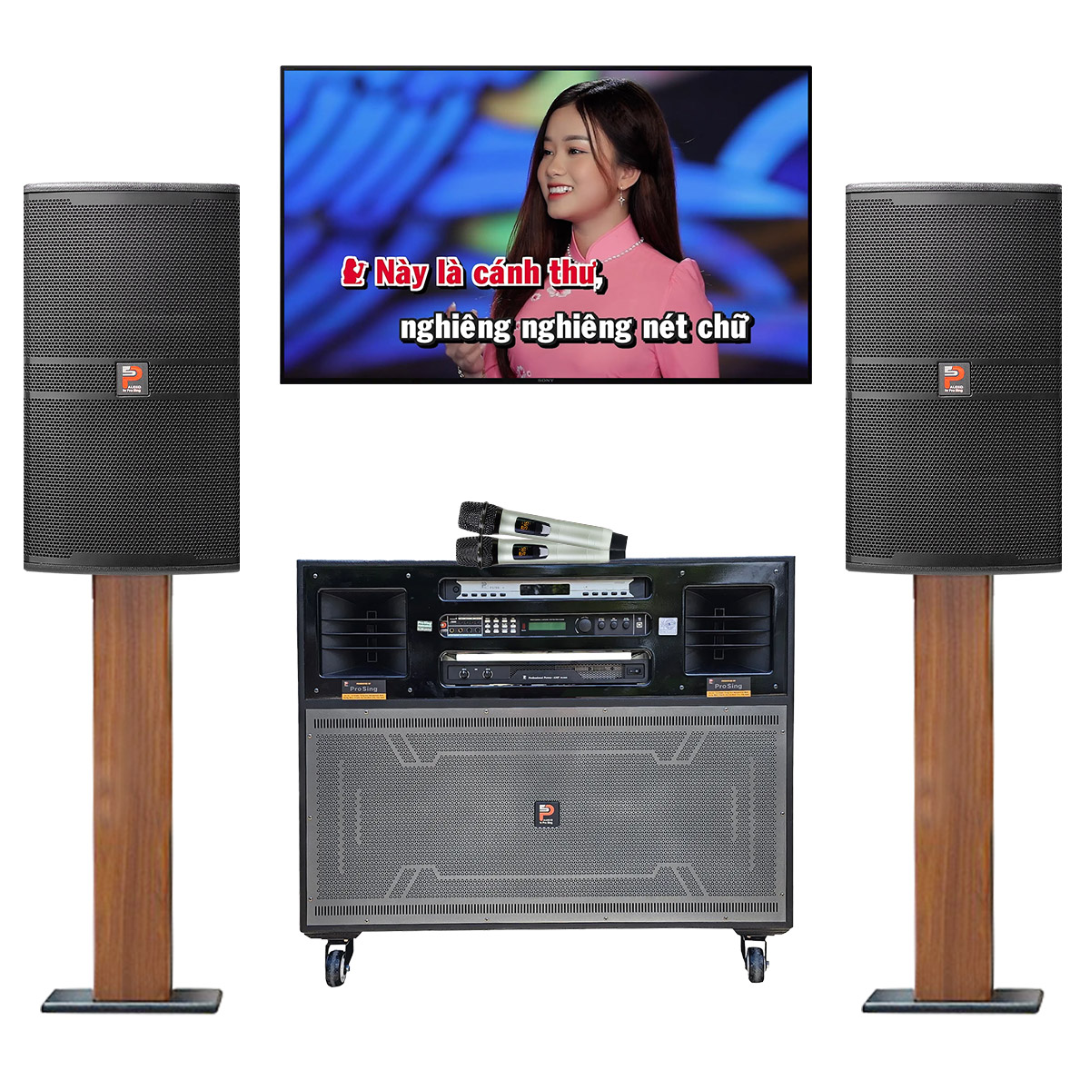 Dàn karaoke di động Prosing 01