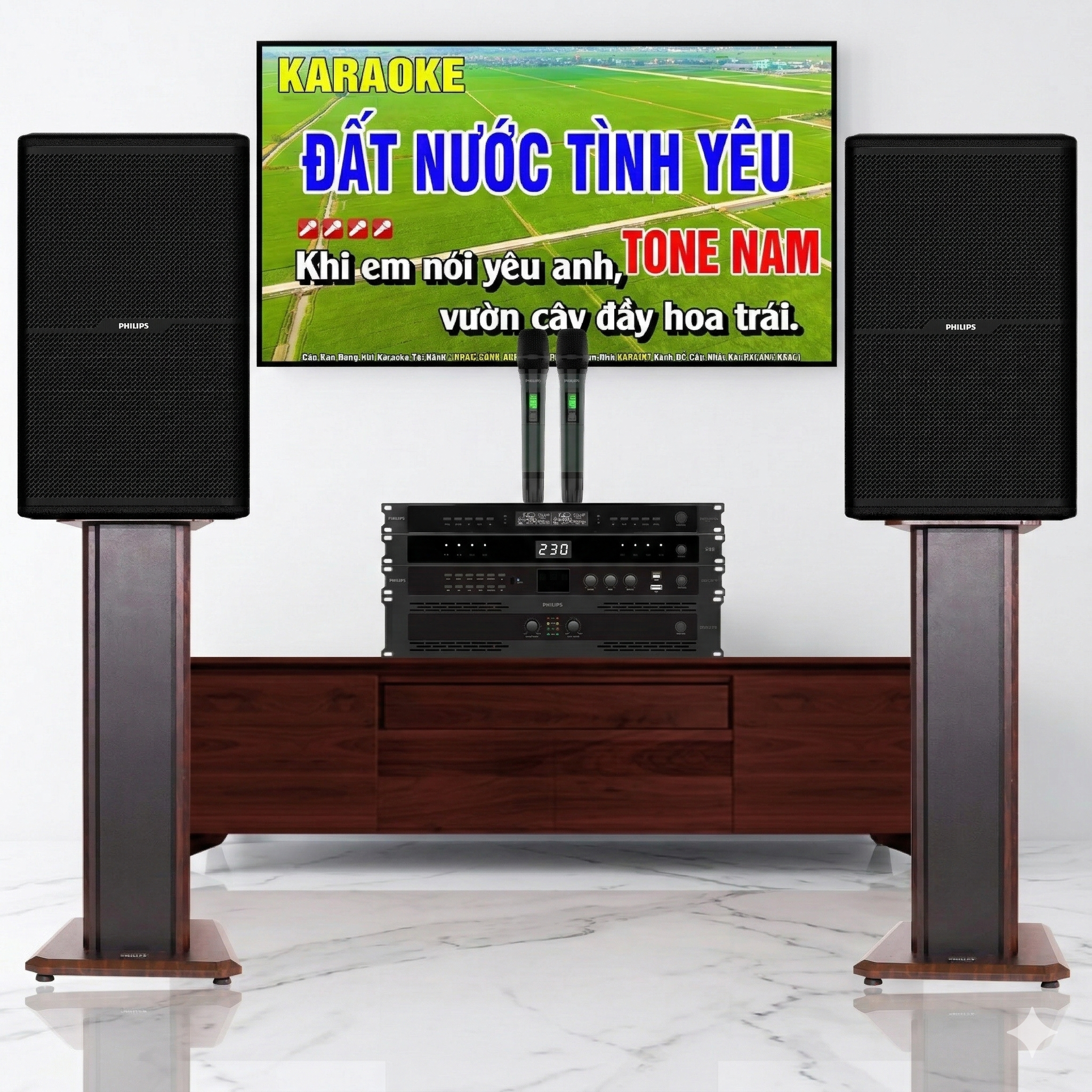 Dàn karaoke đồng bộ Philips 02 (CSS2807/70,CSS2551/70, CSS3751/70, CSS3321/70, Philips M8)