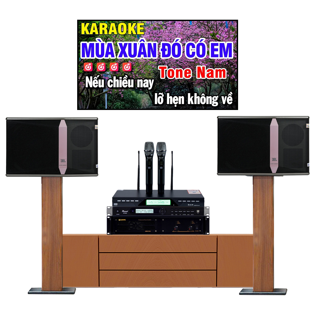 Dàn karaoke gia đình BC-T65GD