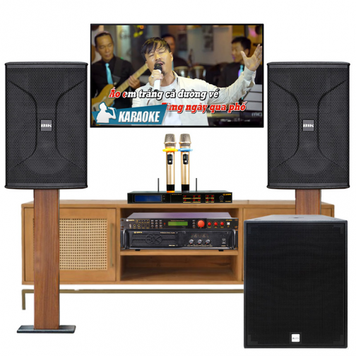 Dàn karaoke gia đình BC-T87GD (BIK BSP 812II, BIK BPR 5600, BIK VM830A, Alto SXSUB18+, BIK BJ U550) - Hình 1