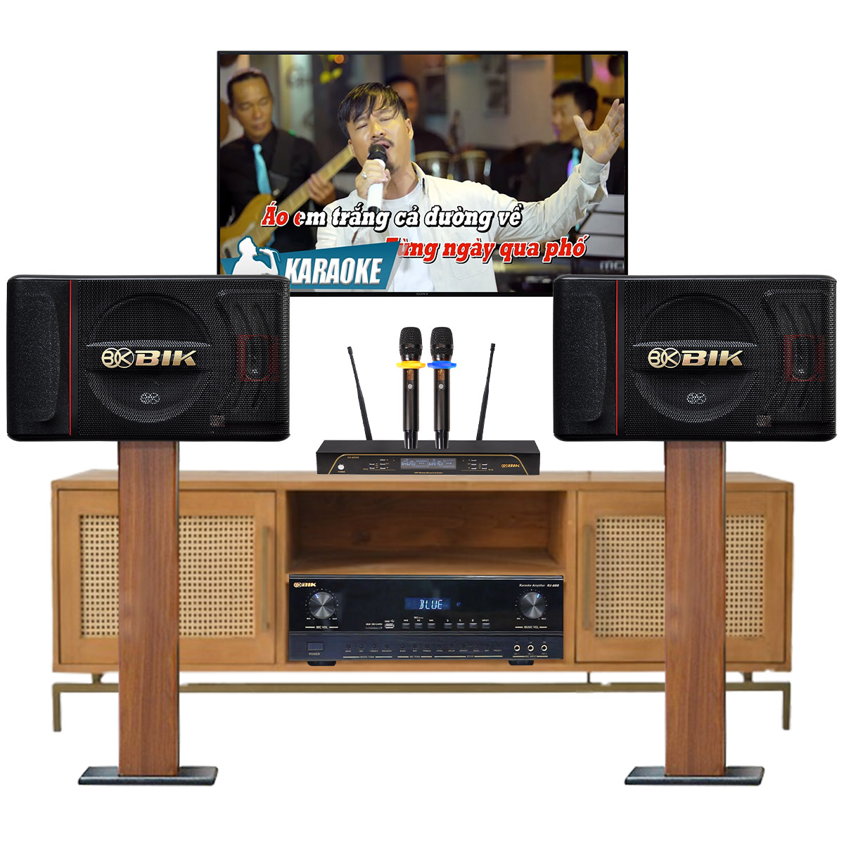 Dàn karaoke gia đình BIK14