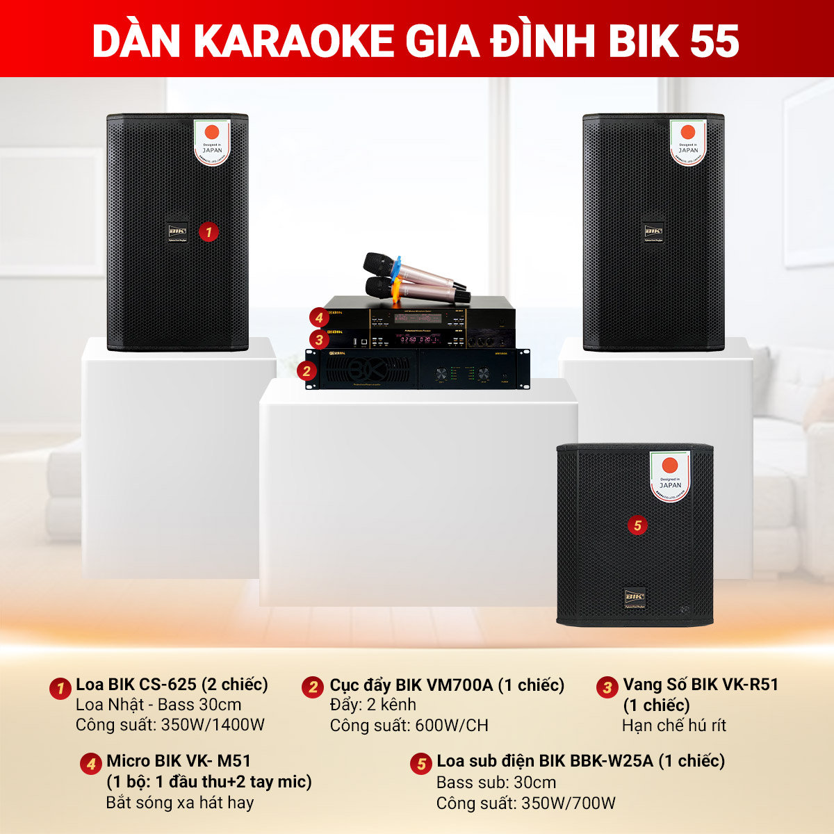 D&agrave;n karaoke gia đ&igrave;nh BIK 55