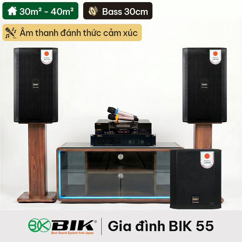 Dàn karaoke gia đình BIK 55