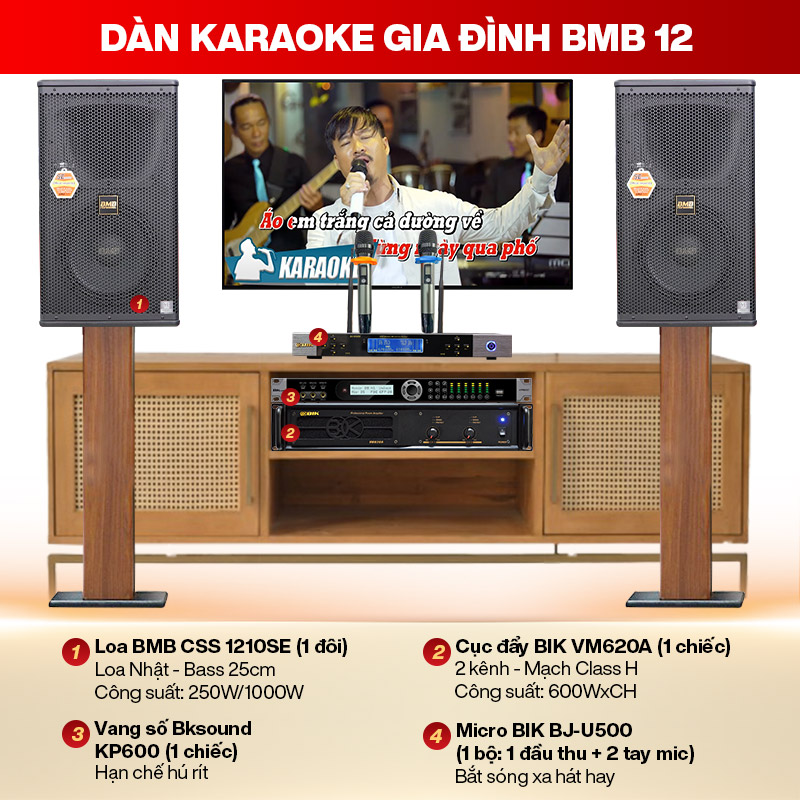 D&agrave;n karaoke gia đ&igrave;nh BMB 12