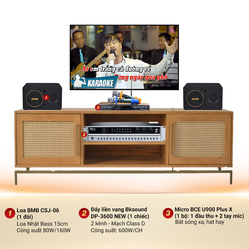 D&agrave;n karaoke gia đ&igrave;nh BMB 25