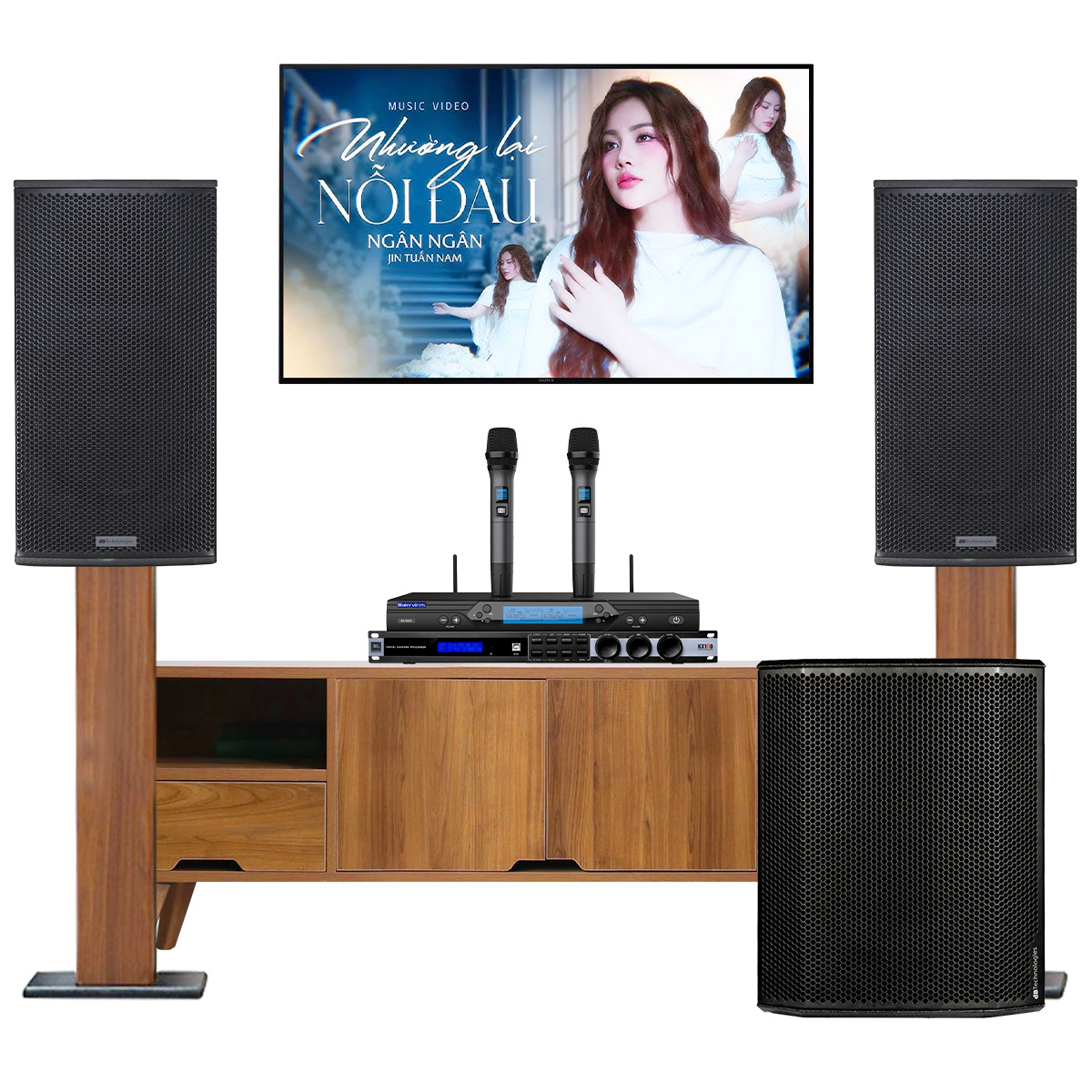 Dàn karaoke gia đình cao cấp dBTechnologies 05