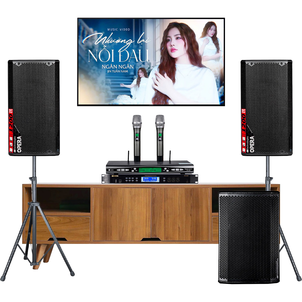 Dàn karaoke gia đình dBTechnologies 12