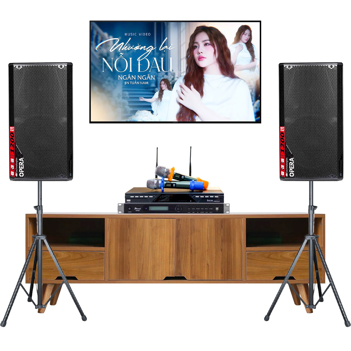 Dàn karaoke gia đình dBTechnologies 13