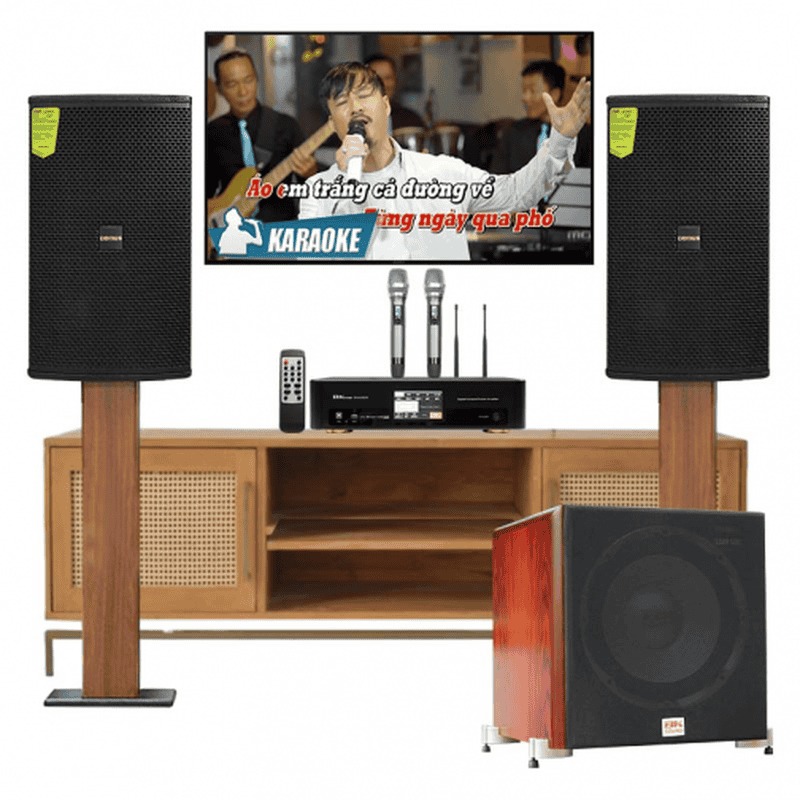 Dàn karaoke gia đình Domus 19