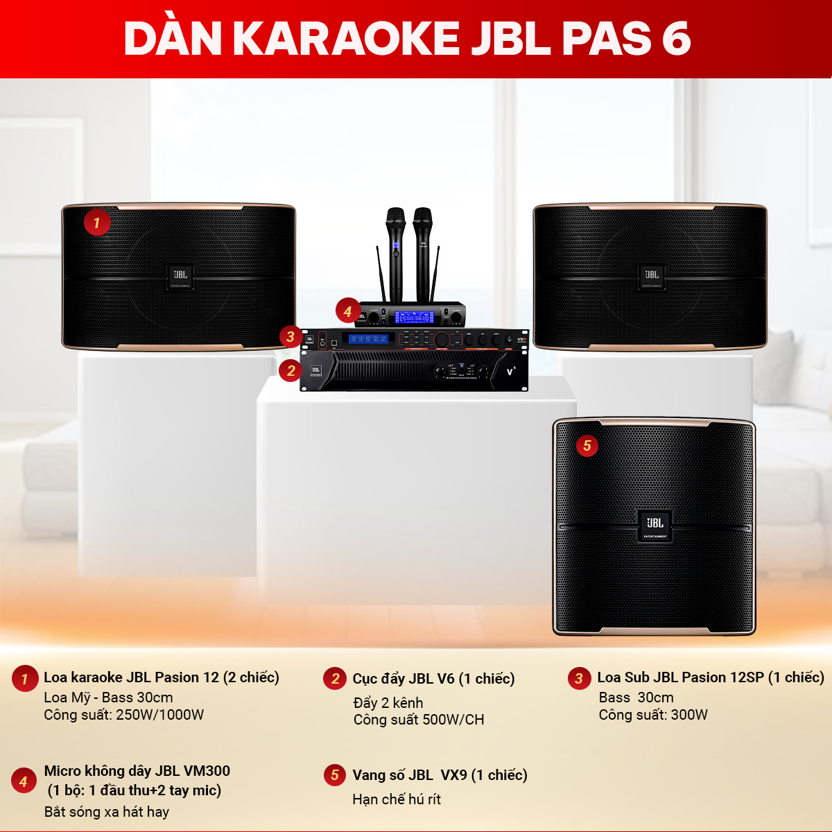 D&agrave;n karaoke JBL PAS 6