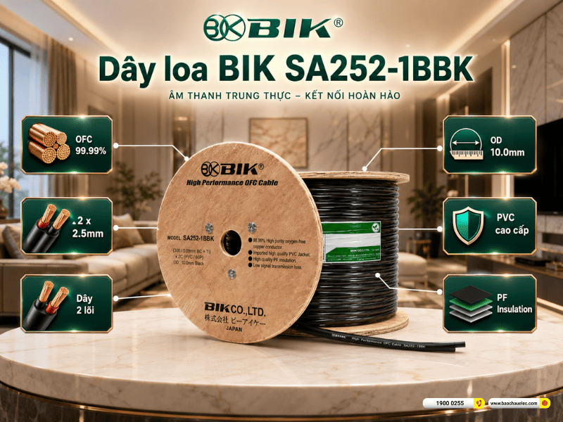 Dây loa BIK SA252-1BBK