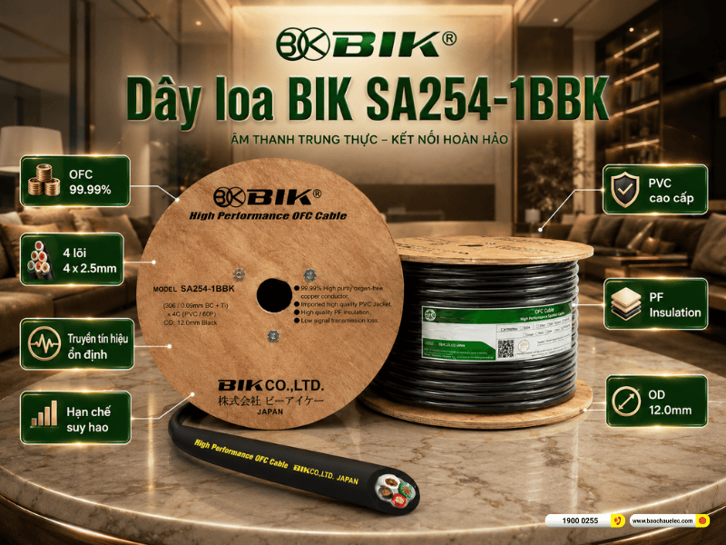 Dây loa BIK SA254-1BBK